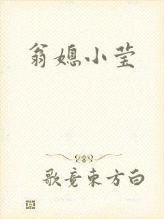 翁媳小莹封面