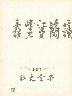 秦峰江晓晴的小说免费阅读