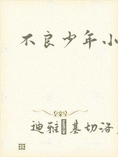 不良少年小说