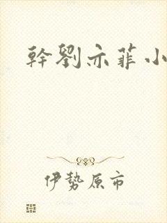 干刘亦菲小说