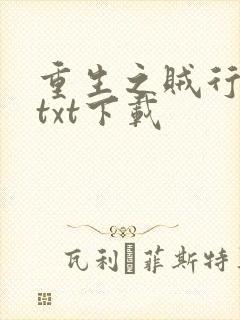 重生之贼行天下txt下载