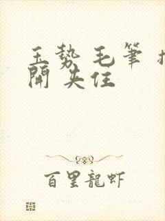 玉势 毛笔 撑开 夹住
