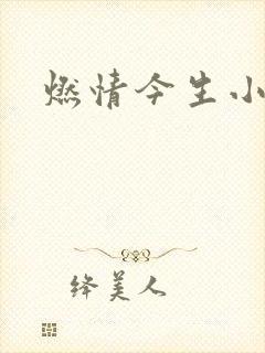 燃情今生小说
