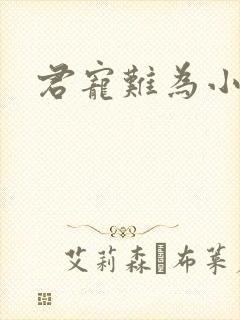 君宠难为小说