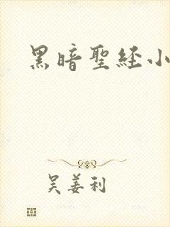 黑暗圣经小说