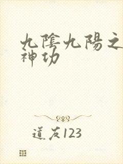 九阴九阳之阴阳神功