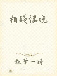 相贱恨晚封面