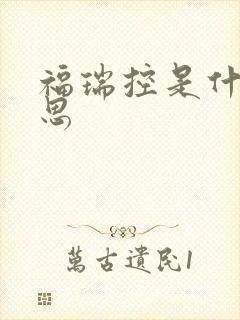 福瑞控是什么意思