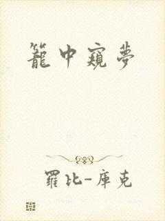 笼中窥梦