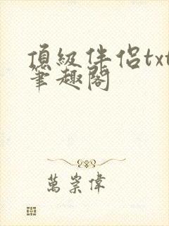 顶级伴侣txt笔趣阁封面