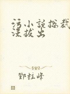 污小说总裁整夜没拔出封面
