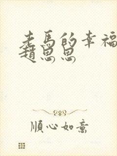 老马的幸福生活赵思思