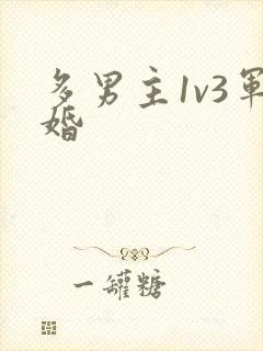 多男主1v3军婚