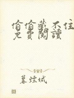 偷偷藏不住小说免费阅读