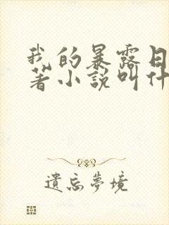 我的暴露日记原著小说叫什么