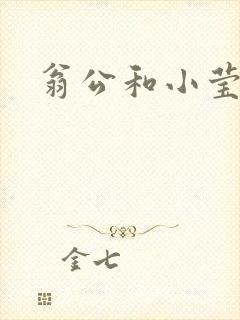 翁公和小莹封面