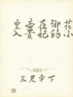 皇帝在御花园进入贵妃的小说
