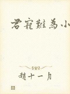君宠难为小说