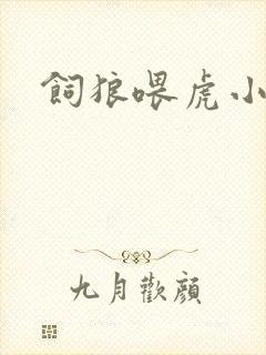饲狼喂虎小说封面