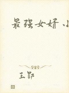 最强女婿 小说