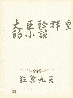 大臣干群皇太后的小说封面