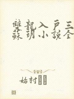 双龙入户三人行苏玥小说全文阅读