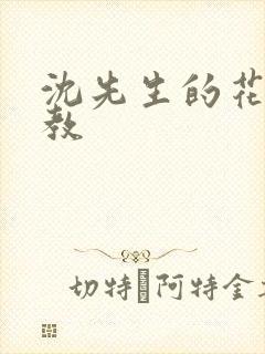 沈先生的花式管教