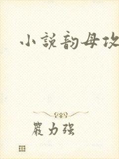 小说韵母攻略