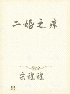 二婚之痒