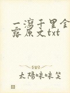 一泻千里金银花露原文txt封面