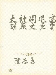 大被同眠高粱小说原文免费阅读封面
