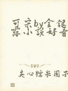 可宋by金银花露小说好看吗封面