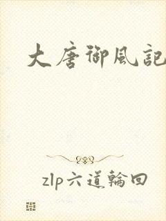 大唐御风记封面