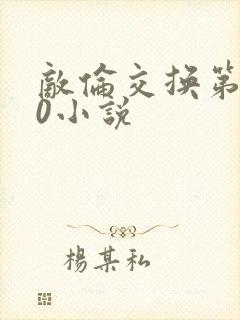 敌伦交换第150小说封面