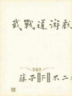 武战道游戏封面