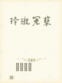 玲珑冤孽