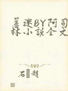 着迷BY阿司匹林小说全文免费阅读封面