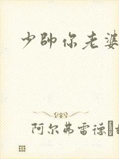 少帅你老婆