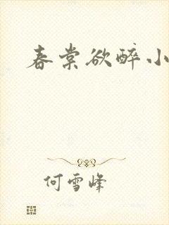 春棠欲醉小说