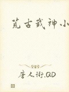 荒古武神小说封面