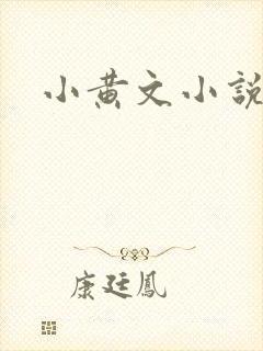 小黄文小说