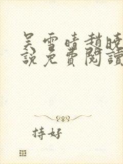 吴雪晴赵晓东小说免费阅读封面