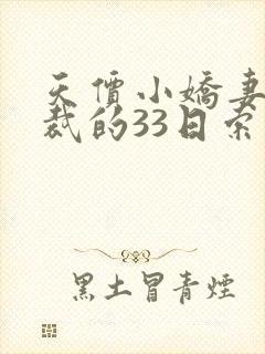 天价小娇妻,总裁的33日索情全文免费封面