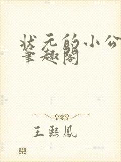 状元的小公主 笔趣阁封面
