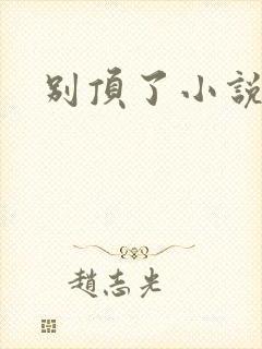 别顶了小说