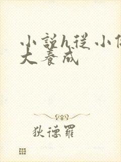 小说h从小做到大养成封面