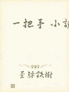 一把手 小说