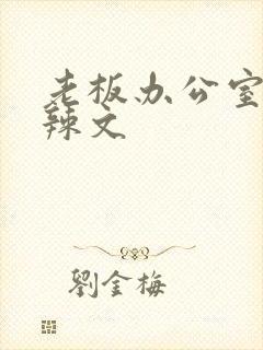 老板办公室系列辣文封面