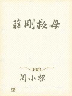 薛刚救母封面
