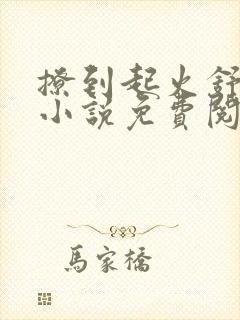 撩到起火舒漾的小说免费阅读全文